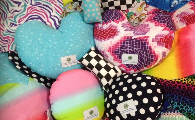 Hear Me Roar cushions and pillows