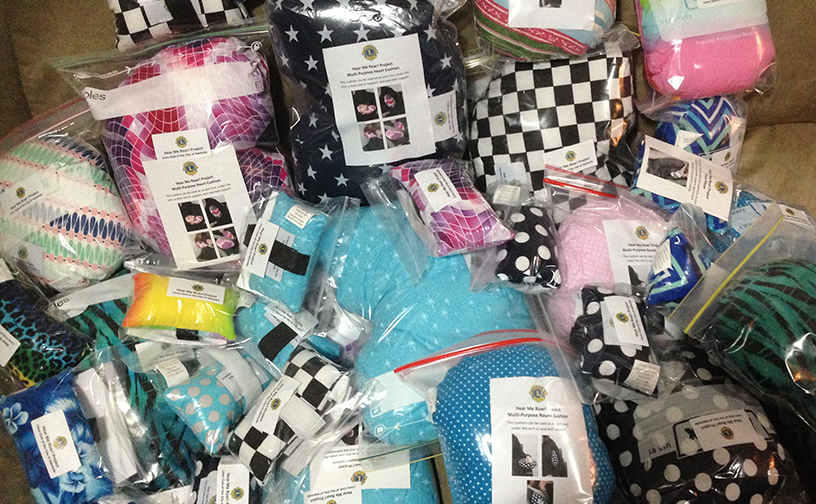 Hear Me Roar cushions and pillows