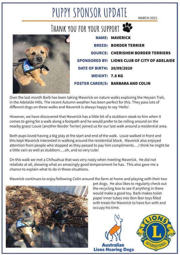 Maverick March 2021 Update Maverick March Update