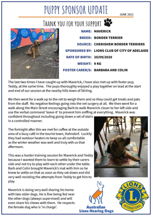 Maverick - June 2021 Update