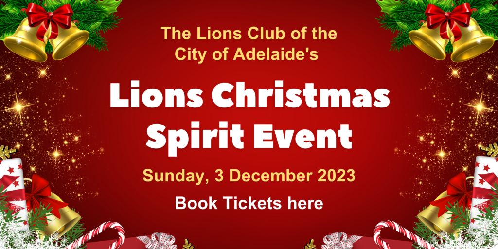 Lions Christmas Banner